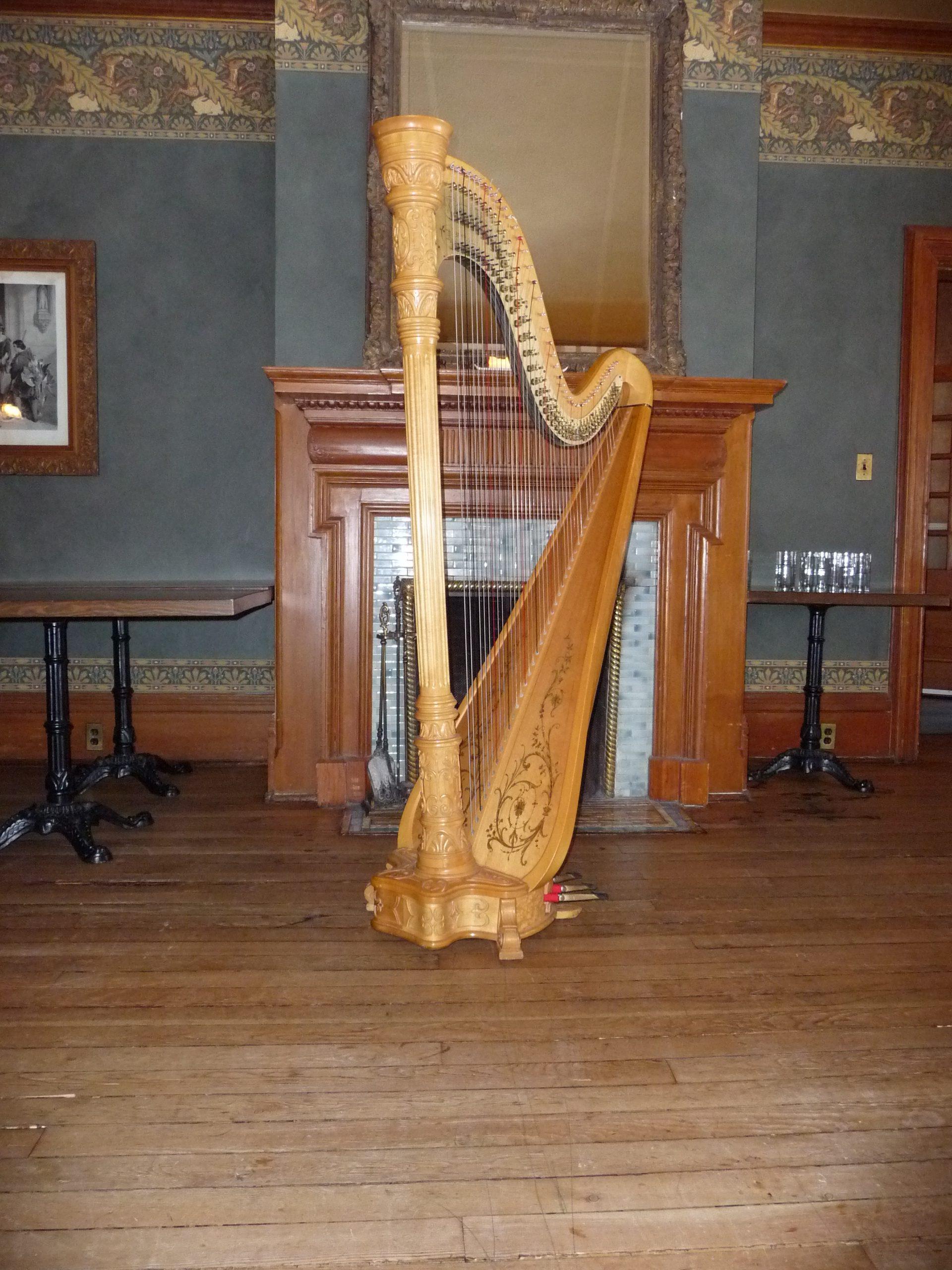Classical 47 string standup harp