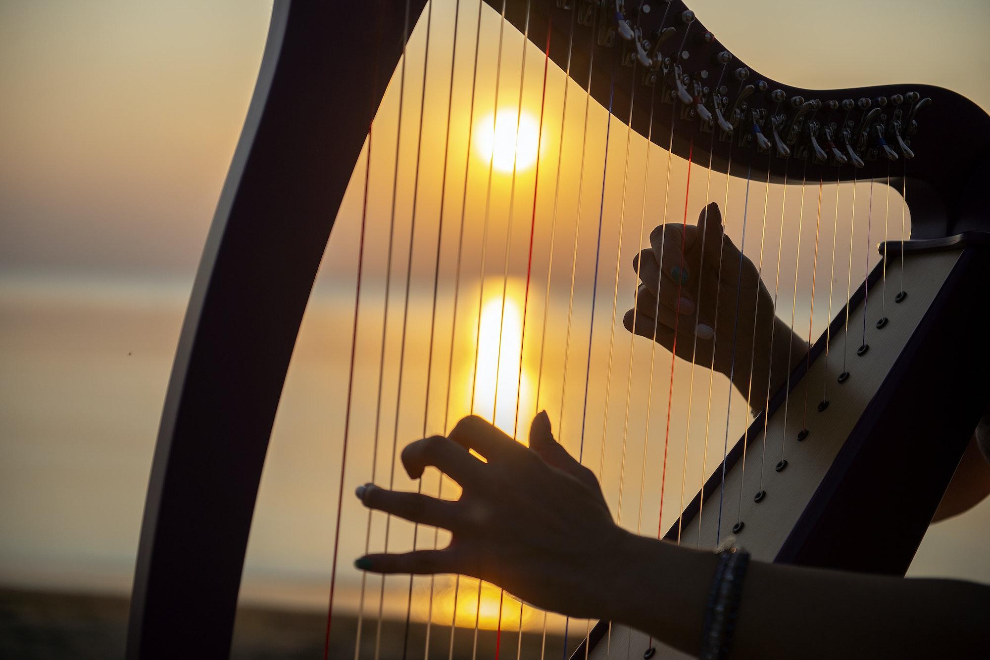 Closeup hands of girl plays on a Celtic harp by the sea at sunset